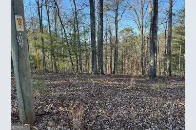 0 Rebekah Ridge #LOT 1710, Talking Rock, GA 30175 - Photo 6