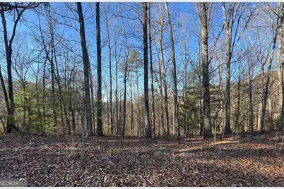 0 Rebekah Ridge #LOT 1710, Talking Rock, GA 30175 - Photo 8