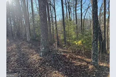0 Rebekah Ridge #LOT 1710, Talking Rock, GA 30175 - Photo 4