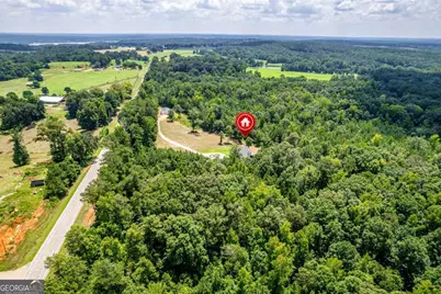 5880 Madison Highway, Greensboro, GA 30642 - Photo 74