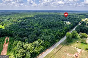 5880 Madison Hwy, Greensboro, GA 30642 - Photo 72