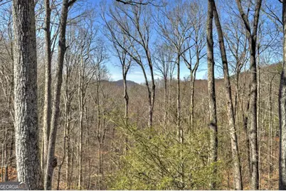 244 Wilderness Way, Ellijay, GA 30536 - Photo 52