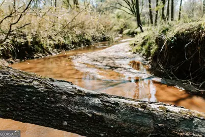 0 Washington Road, Lexington, GA 30648 - Photo 12