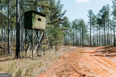 0 Washington Road, Lexington, GA 30648 - Photo 4