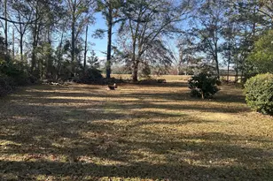 437 Burkhalter Cir, Claxton, GA 30417 - Photo 4