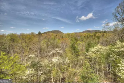 220 Lakota Lane, Mineral Bluff, GA 30559 - Photo 28