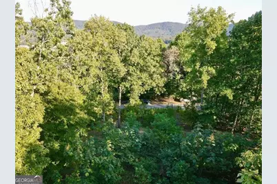 98 Magnolia Court, Summerville, GA 30747 - Photo 6