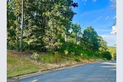 98 Magnolia Court, Summerville, GA 30747 - Photo 4