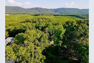 98 Magnolia Court, Summerville, GA 30747 - Photo 8