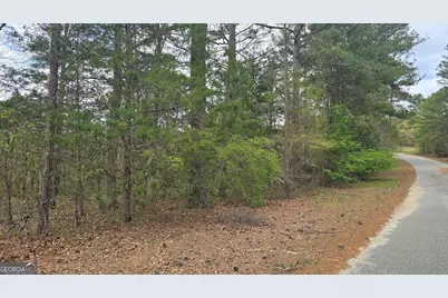 0 Cherry Road, Franklin, GA 30217 - Photo 4
