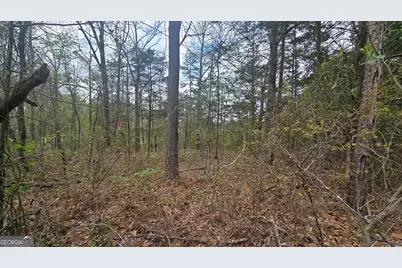0 Cherry Road, Franklin, GA 30217 - Photo 8