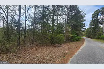 0 Cherry Road, Franklin, GA 30217 - Photo 6