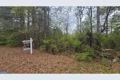 0 Cherry Road, Franklin, GA 30217 - Photo 12