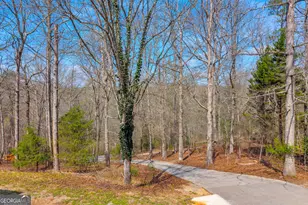 234 Old River Rd, Cornelia, GA 30531 - Photo 36