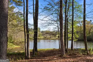 20 Dads Walk, Newnan, GA 30263 - Photo 62