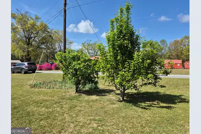 13 Marshall Street, Butler, GA 31006 - Photo 4