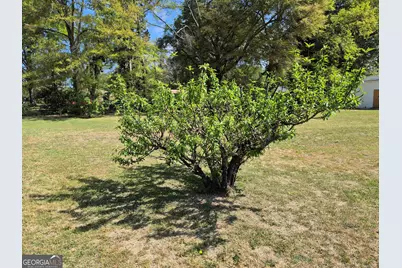 13 Marshall Street, Butler, GA 31006 - Photo 2