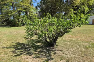 13 Marshall St, Butler, GA 31006 - Photo 2