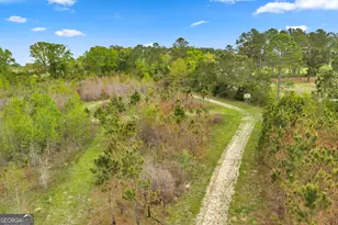 3341 Worth Co Line Rd, Albany, GA 31705 - Photo 82