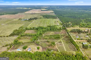 3341 Worth Co Line Rd, Albany, GA 31705 - Photo 72