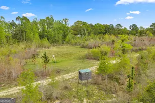 3341 Worth Co Line Rd, Albany, GA 31705 - Photo 86