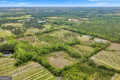 3341 Worth Co Line Road, Albany, GA 31705 - Photo 68