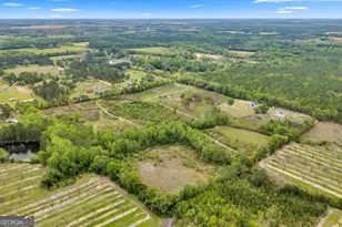 3341 Worth Co Line Rd, Albany, GA 31705 - Photo 68