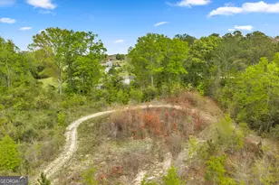 3341 Worth Co Line Rd, Albany, GA 31705 - Photo 84