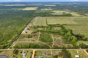 3341 Worth Co Line Rd, Albany, GA 31705 - Photo 74