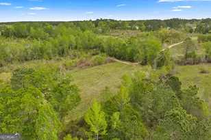 3341 Worth Co Line Rd, Albany, GA 31705 - Photo 92