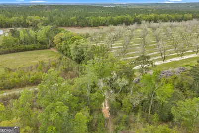 3341 Worth Co Line Road, Albany, GA 31705 - Photo 94