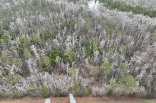 177 Rock Creek Rd, Flovilla, GA 30216 - Photo 4