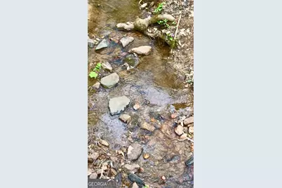 301 Highway 5 East, Roopville, GA 30170 - Photo 70