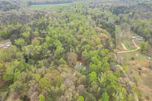 301 Hwy 5 E, Roopville, GA 30170 - Photo 66