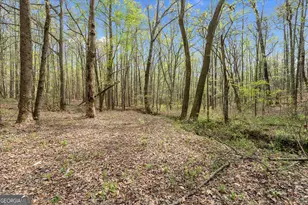 301 Hwy 5 E, Roopville, GA 30170 - Photo 48