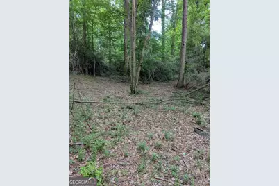 2773 River Road, Ellenwood, GA 30294 - Photo 4