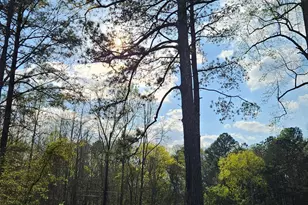 0 Shiloh Rd, Greensboro, GA 30642 - Photo 1