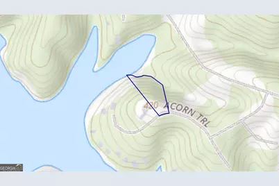 0 Hickory Pass #LOT 242, Sparta, GA 31087 - Photo 2