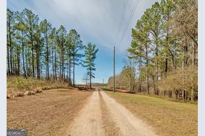1363-A McFarlin Bridge 25 Acres, Carnesville, GA 30521 - Photo 48