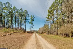 1363-A McFarlin Bridge 25 Acres, Carnesville, GA 30521 - Photo 48
