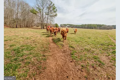 1363-A McFarlin Bridge 25 Acres, Carnesville, GA 30521 - Photo 62