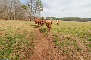 1363-A McFarlin Bridge 25 Acres, Carnesville, GA 30521 - Photo 62