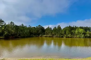 193 Saddle Brooke Trce, Brunswick, GA 31525 - Photo 38