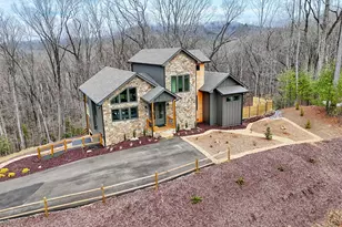 804 Settler's Ridge Rd, Ellijay, GA 30540 - Photo 108