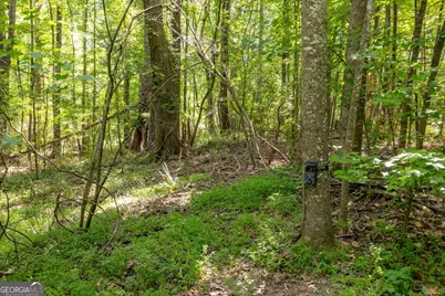 0 Gene Bell Road, Monroe, GA 30655 - Photo 6