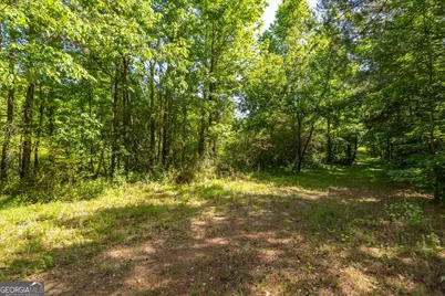 0 Gene Bell Road, Monroe, GA 30655 - Photo 2