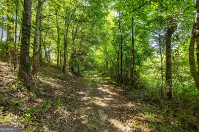 0 Gene Bell Road, Monroe, GA 30655 - Photo 4