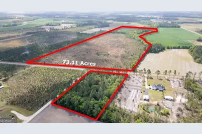 001 Piney Grove Church Road, Baxley, GA 31513 - Photo 1