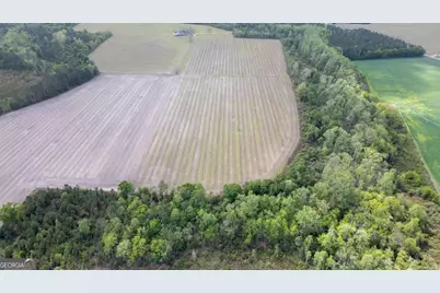 001 Piney Grove Church Road, Baxley, GA 31513 - Photo 8