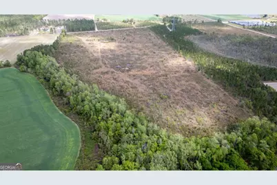 001 Piney Grove Church Road, Baxley, GA 31513 - Photo 4